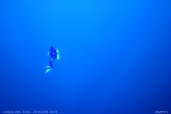 Blue dive, cristal clear water enabled this shot.Taken wi... by Dan Ashkenasi 